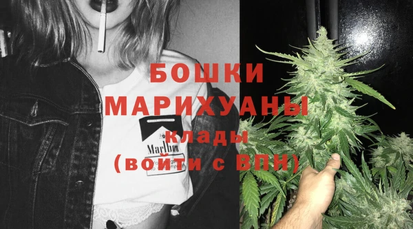 шишки Горно-Алтайск