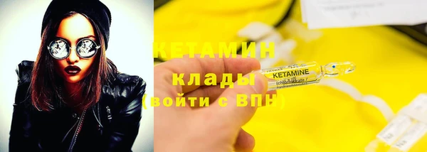 шишки Горно-Алтайск
