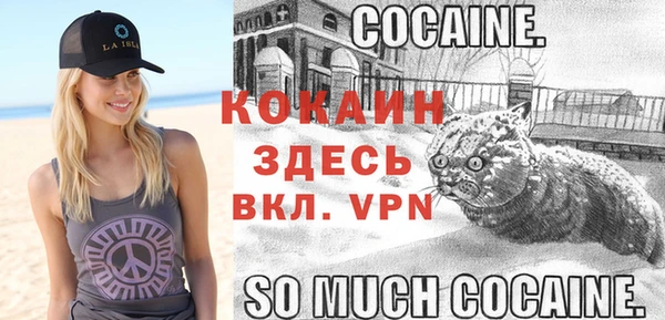 шишки Горно-Алтайск
