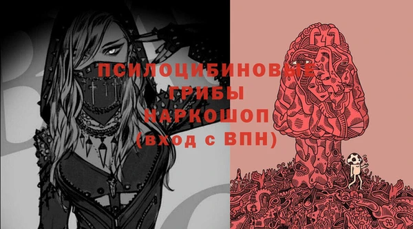 шишки Горно-Алтайск