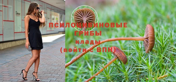 кокс Горнозаводск