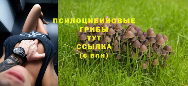 шишки Горно-Алтайск