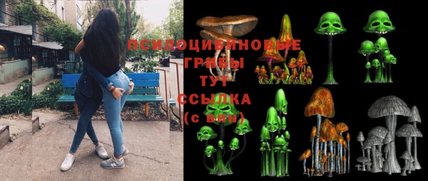 шишки Горно-Алтайск