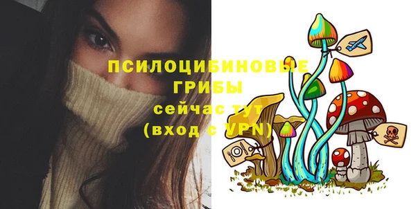 герыч Горняк
