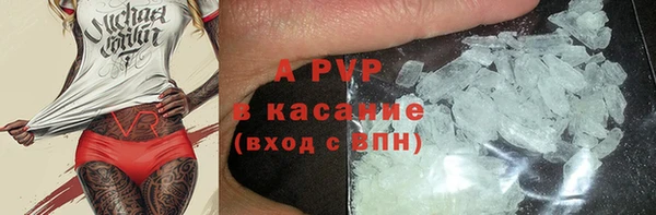 шишки Горно-Алтайск