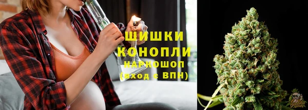 шишки Горно-Алтайск