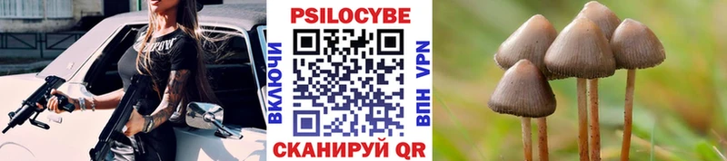 Псилоцибиновые грибы Psilocybine cubensis  Купить закладки  Вичуга 